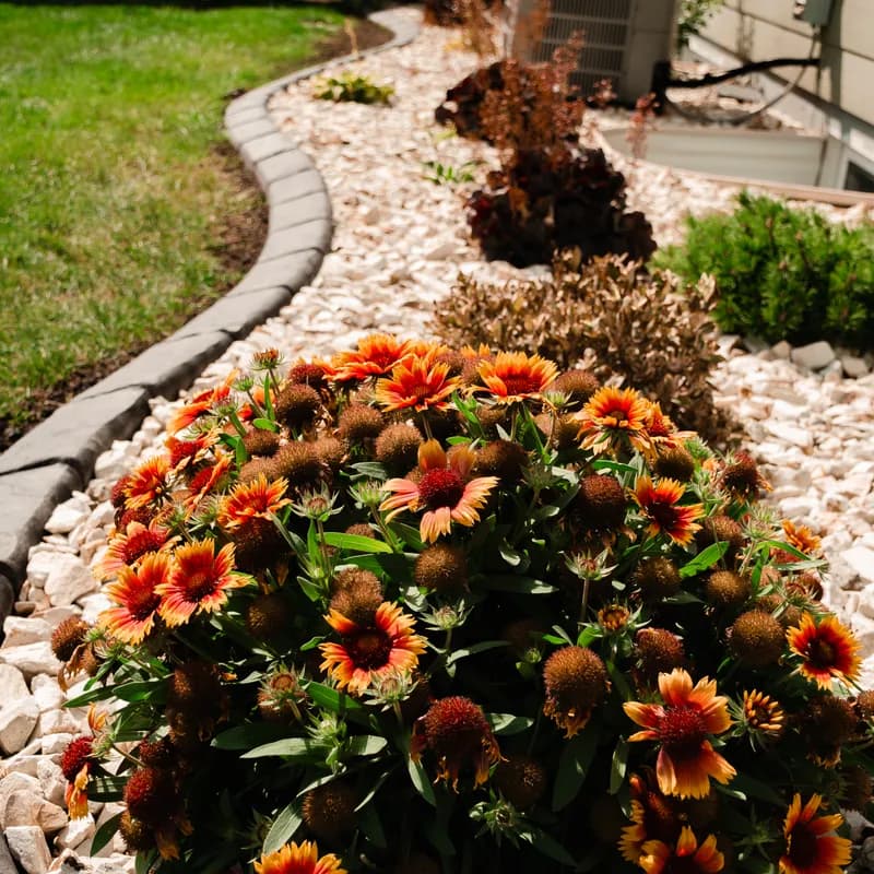 Landscape curbing with orange flowers and white rock bed — ATK Landscaping consultation example in Rapid City